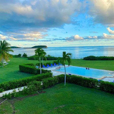 Blue Horizon Boutique Resort (Adults Only) Vieques Luaran gambar