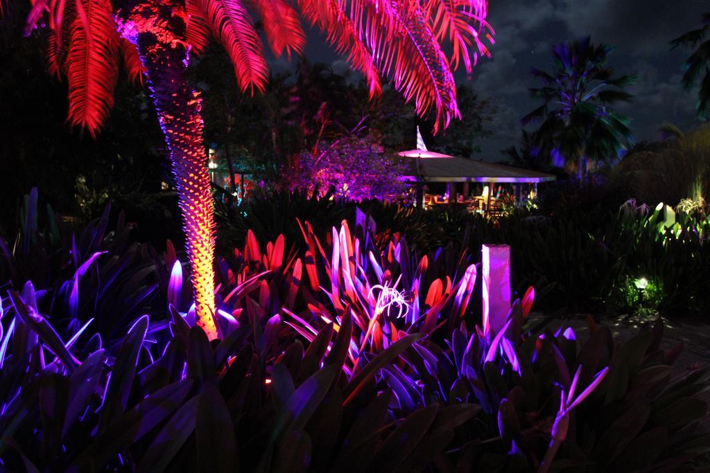 Blue Horizon Boutique Resort (Adults Only) Vieques Luaran gambar