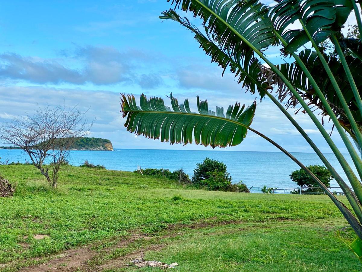 Blue Horizon Boutique Resort (Adults Only) Vieques Luaran gambar