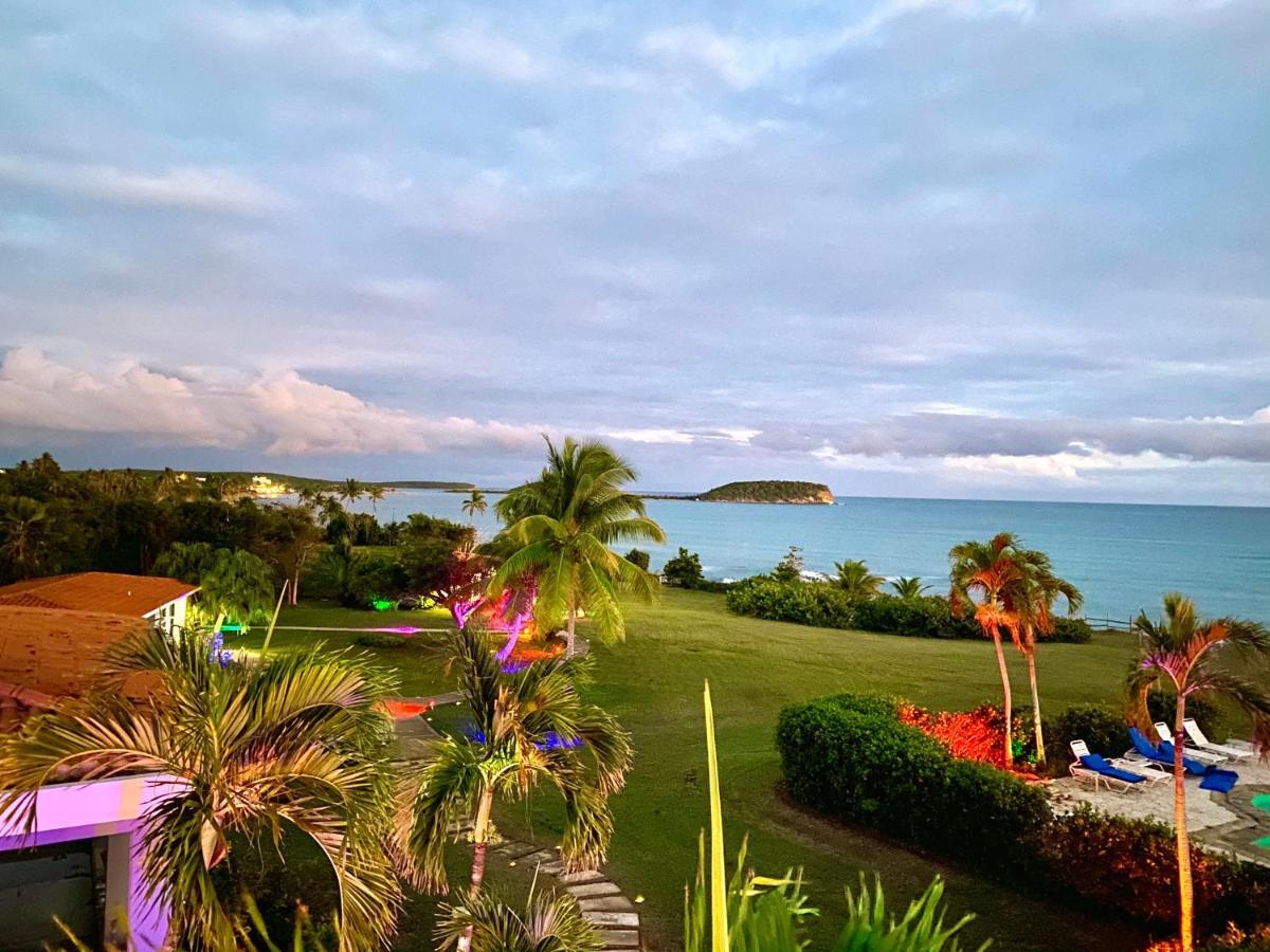 Blue Horizon Boutique Resort (Adults Only) Vieques Luaran gambar