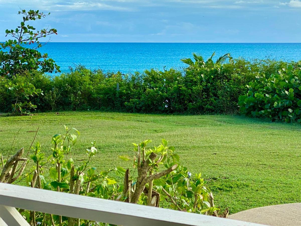 Blue Horizon Boutique Resort (Adults Only) Vieques Luaran gambar