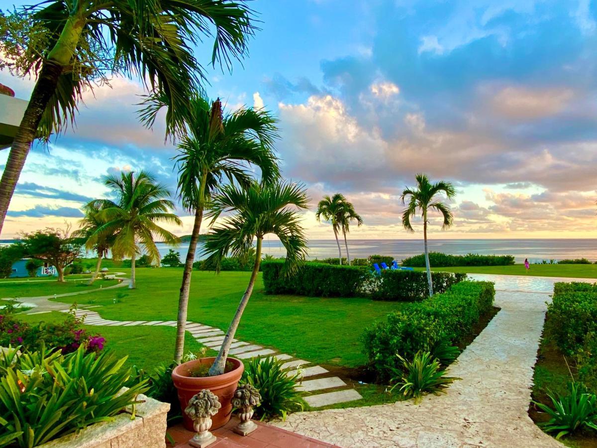Blue Horizon Boutique Resort (Adults Only) Vieques Luaran gambar