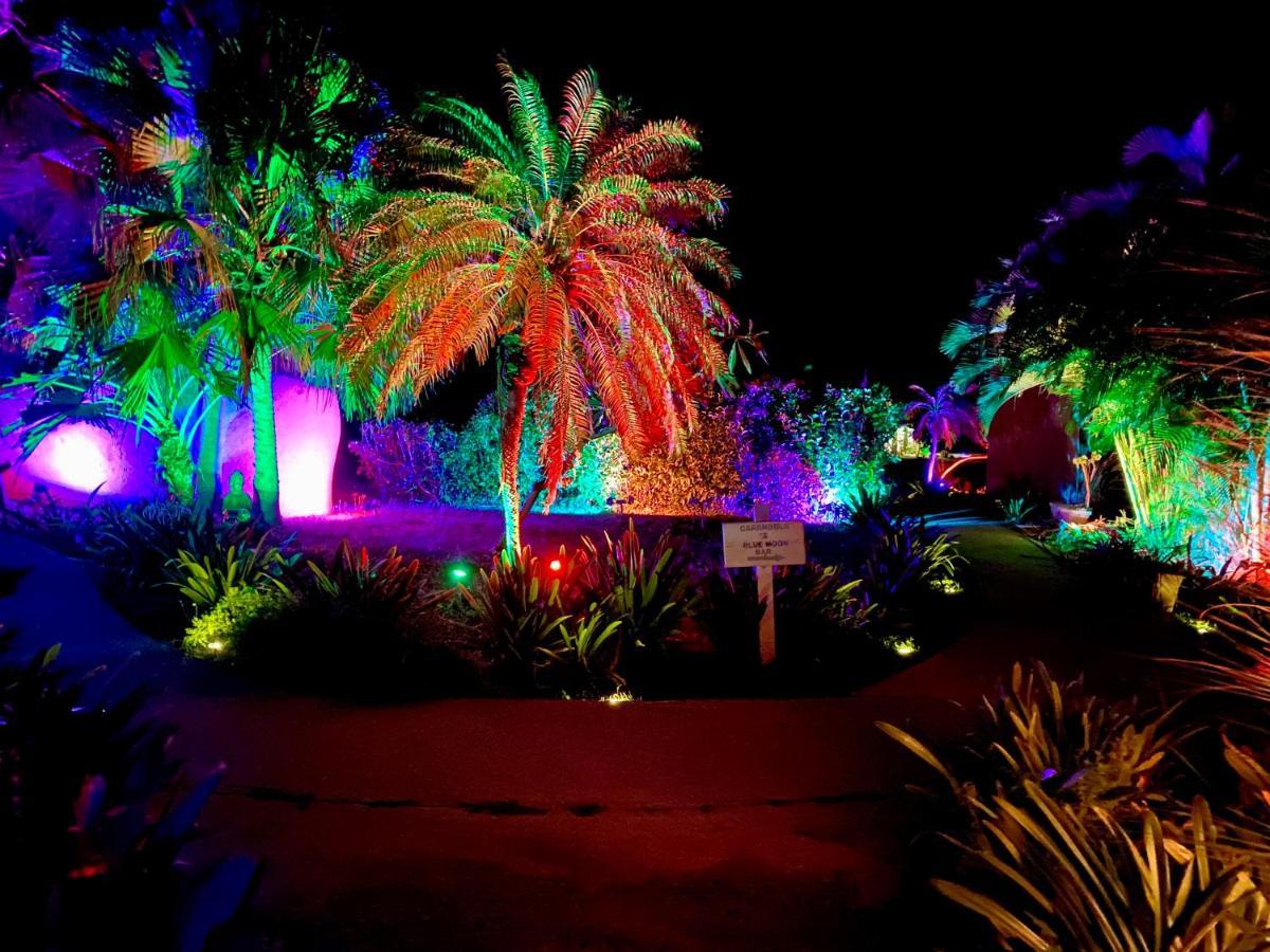 Blue Horizon Boutique Resort (Adults Only) Vieques Luaran gambar