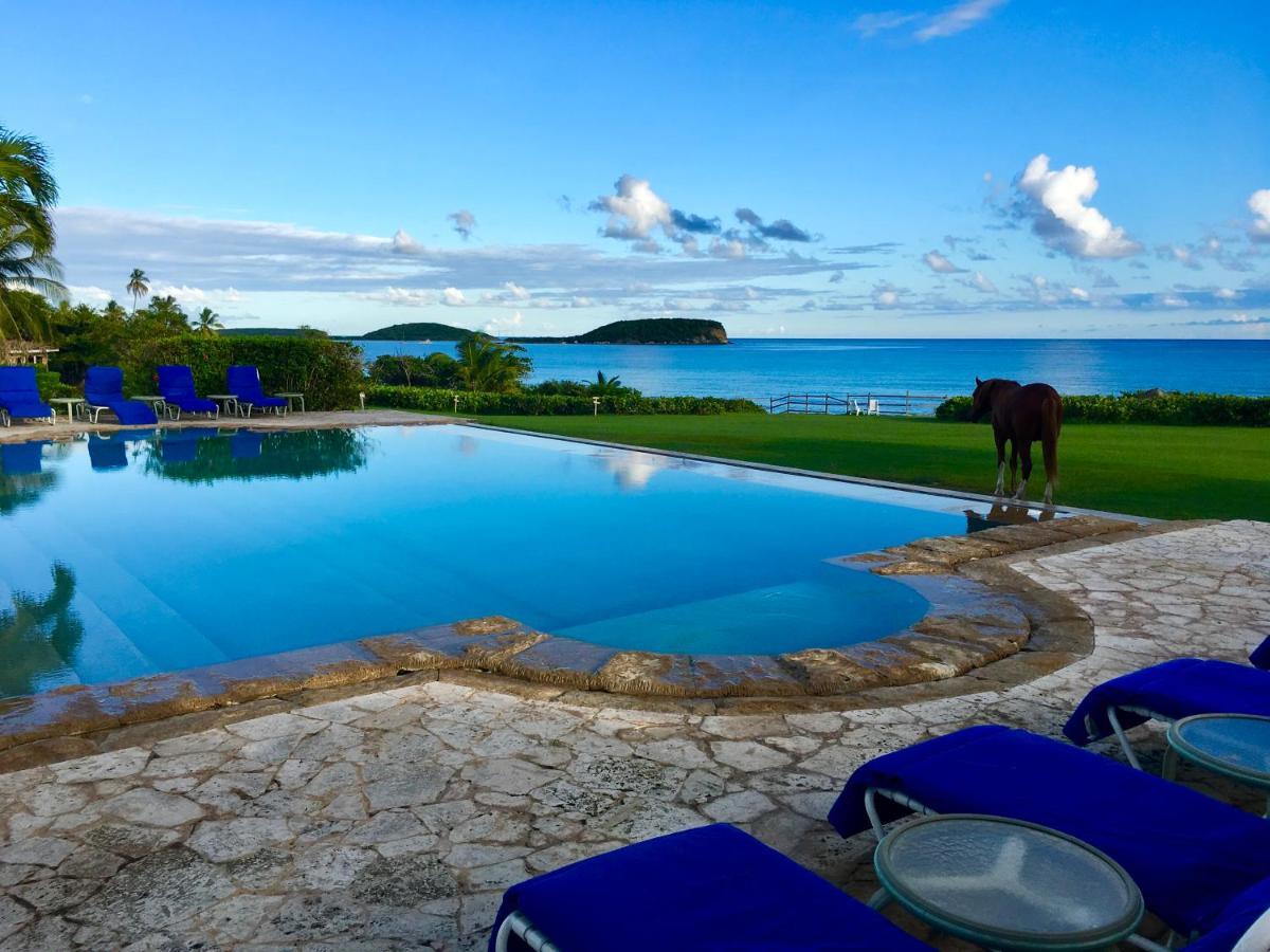 Blue Horizon Boutique Resort (Adults Only) Vieques Luaran gambar
