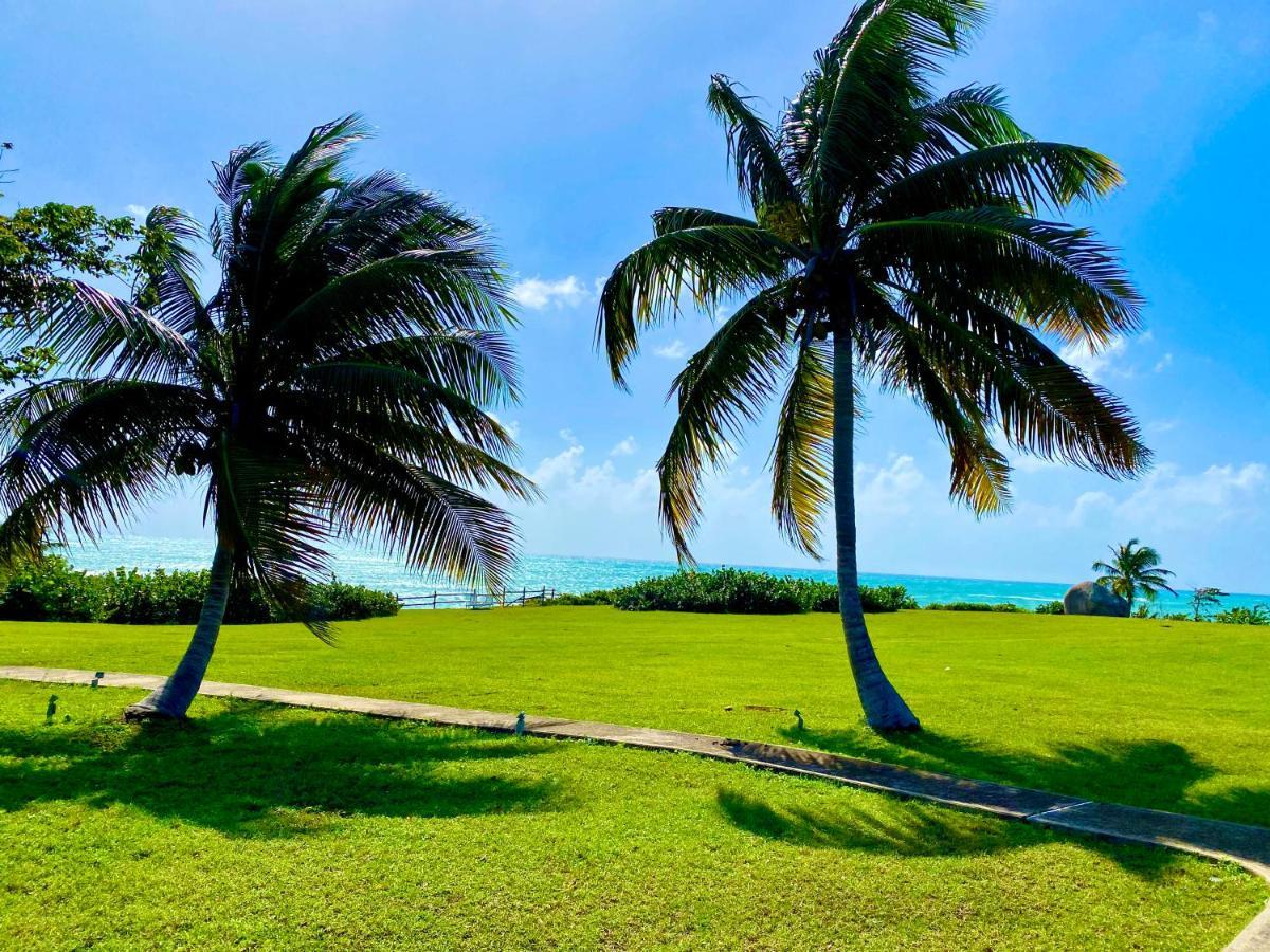 Blue Horizon Boutique Resort (Adults Only) Vieques Luaran gambar